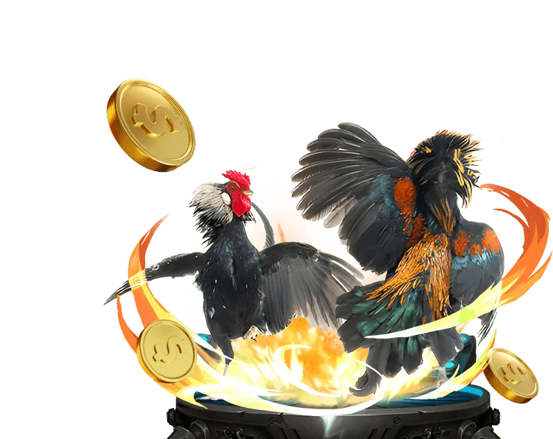 Hình ảnh mô tả các điều khoản dịch vụ của Thiên Hạ Bet